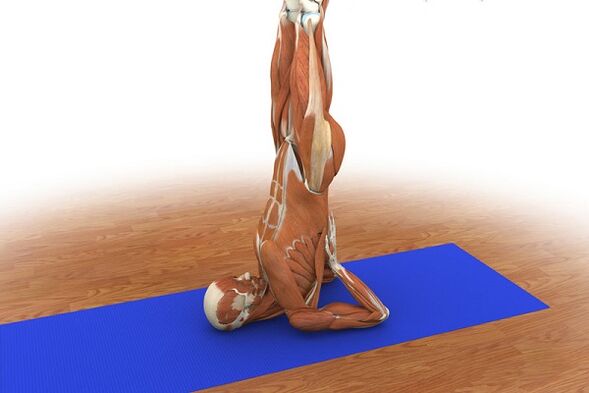 Exercice de puissance « Bouleau »